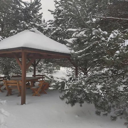 Drozdowe Gniazdo Swornegacie